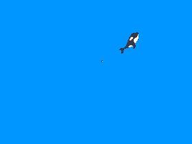 Shark simulater 1