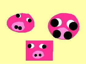 Pig Faces