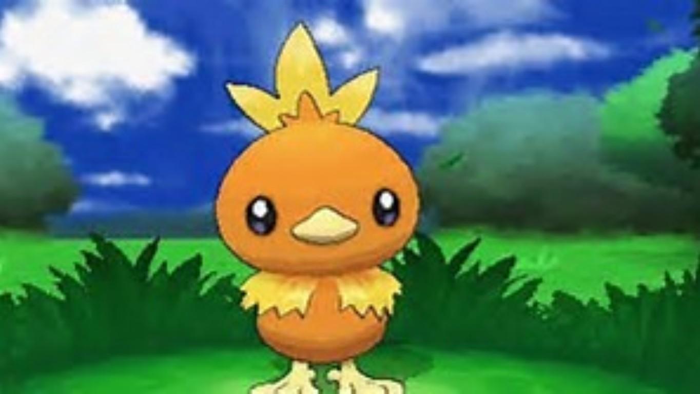 u found a wild torchic