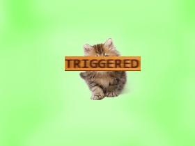 triggered kittie