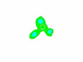 fighit spinner. flip 1
