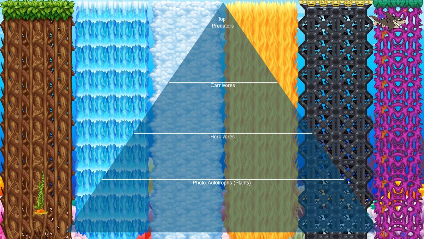 Ocean Ecological Pyramid