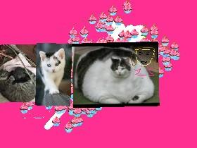 Coloring Characters 1