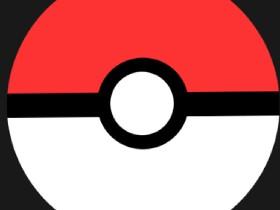 Pokémon Battle!