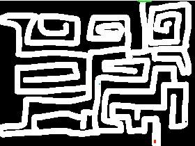 the maze