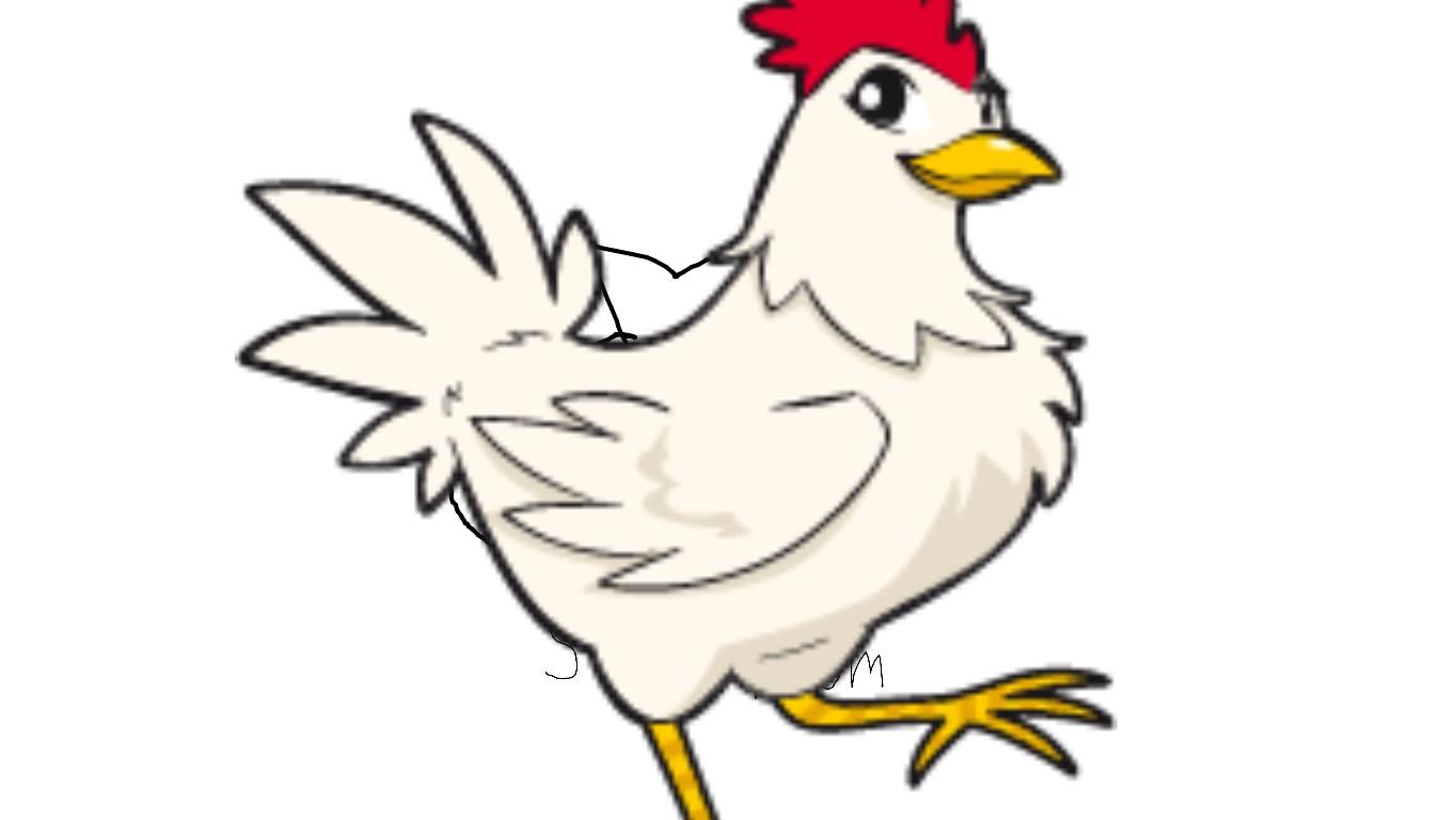 chicken