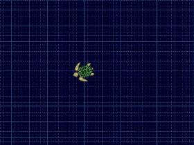 Turtle disco party