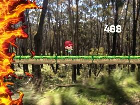 Forest Fire 1