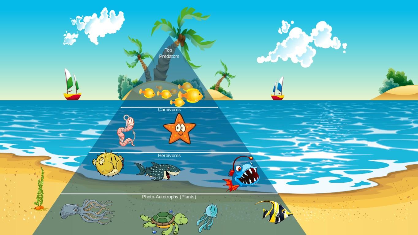 Ocean Ecological Pyramid