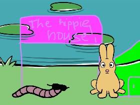Bunny's world
