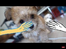 R,P,S realistic hands 1