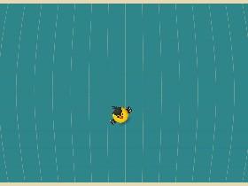 Bird Mayhem 1