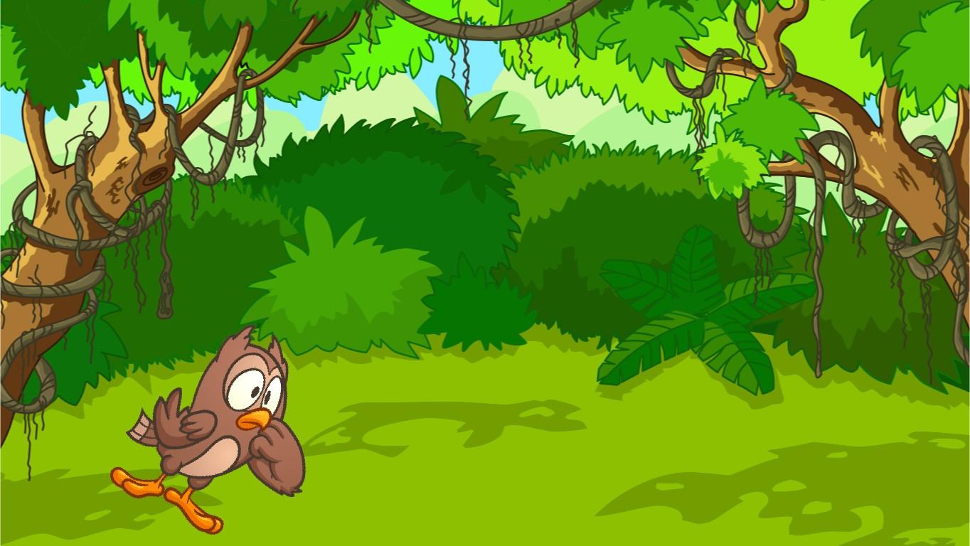 Summertime  in a forest