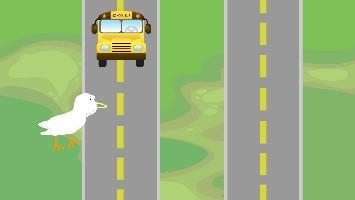 Chicken Crossing 1