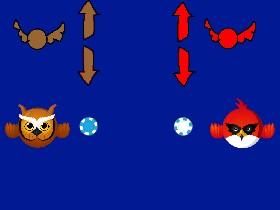 Bird battle!