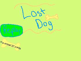 Lost Dog
