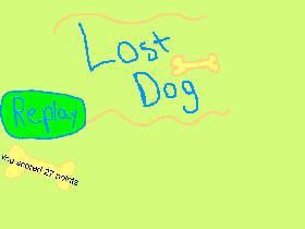 Lost Dog