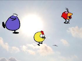 Annoying Bird