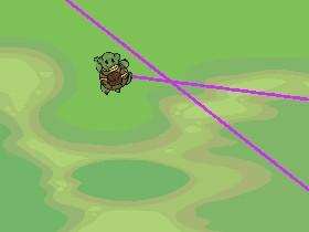 Turtle Trails 1 1 1