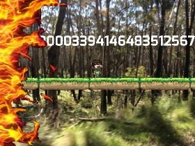 Forest Fire 1