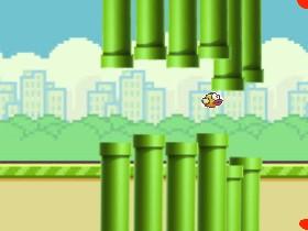 flappy bird