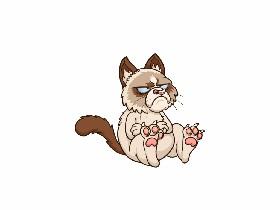 cat simulater