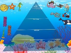 Ecological Pyramid 1