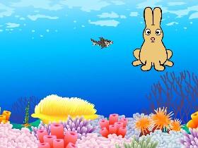 Ecological Pyramid 1