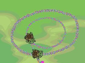 Turtle Trails 2