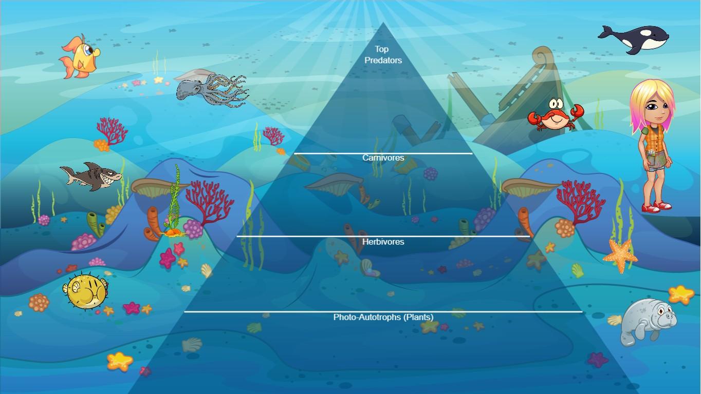 Ocean Ecological Pyramid