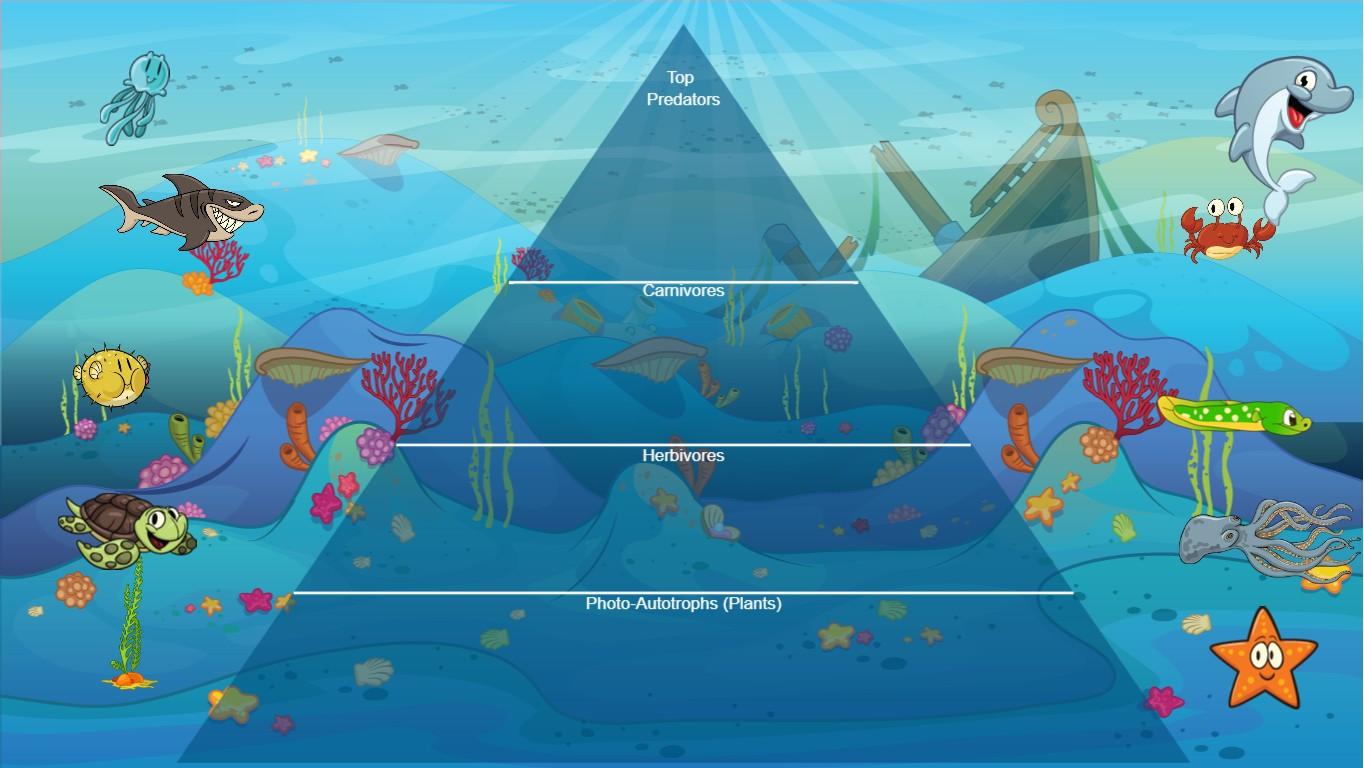 Ocean Ecological Pyramid