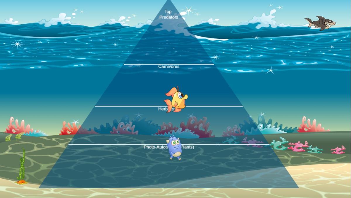 Ocean Ecological Pyramid