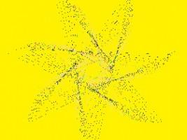 Spiral Triangles 1