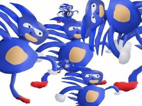 S A N I C