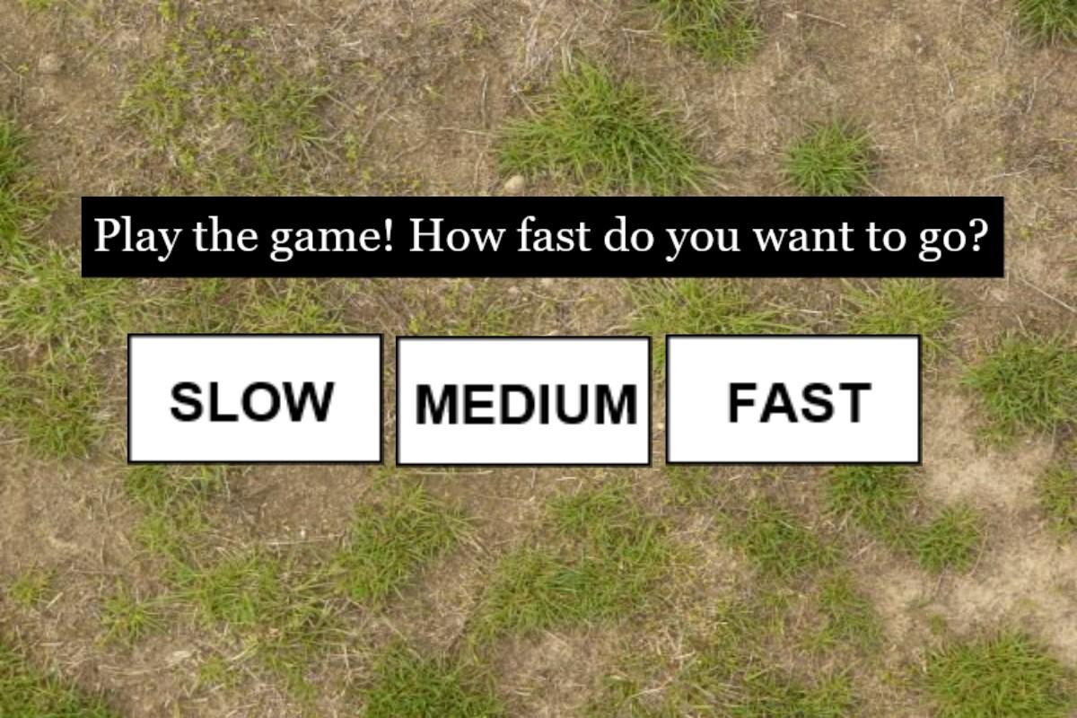 Ant&#039;s Adventure