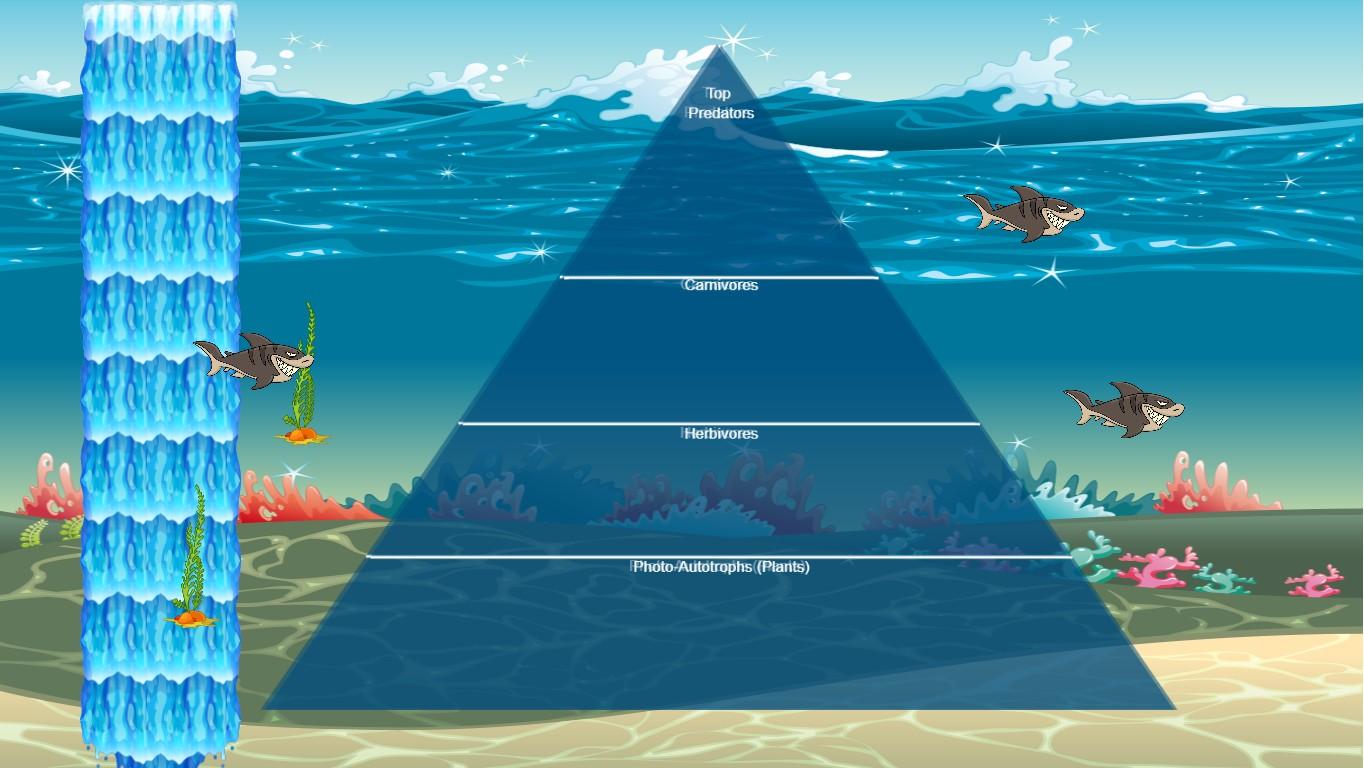 Ocean Ecological Pyramid