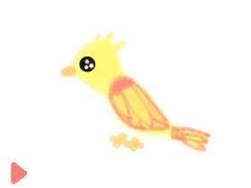 Master Draw: Bird