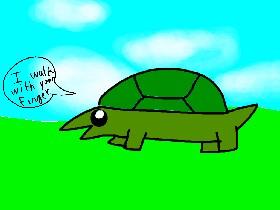 Pet turtle