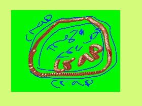 Race Track Maniac 1