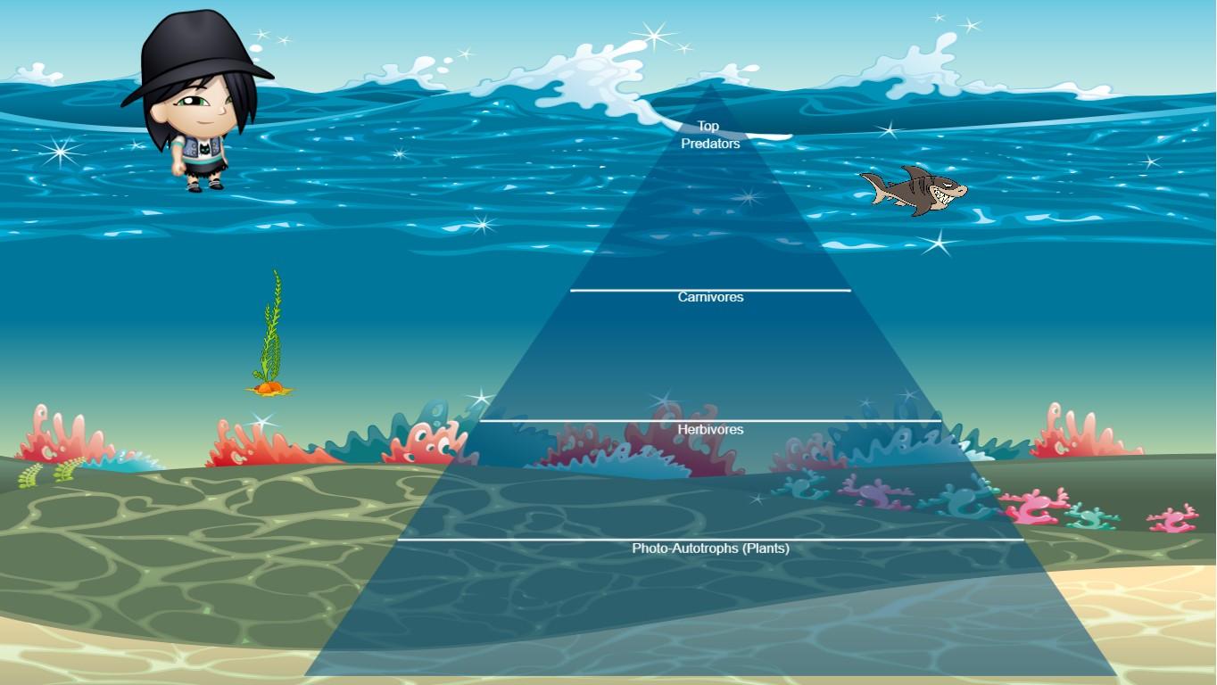 Ocean Ecological Pyramid