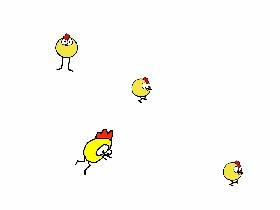 Chickens