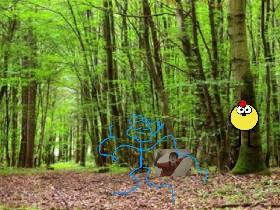 the crayzy bird part two