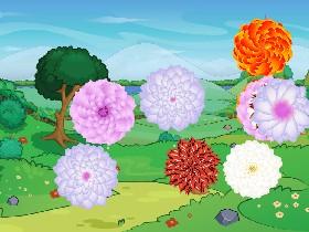 Make your own garden🌺 1