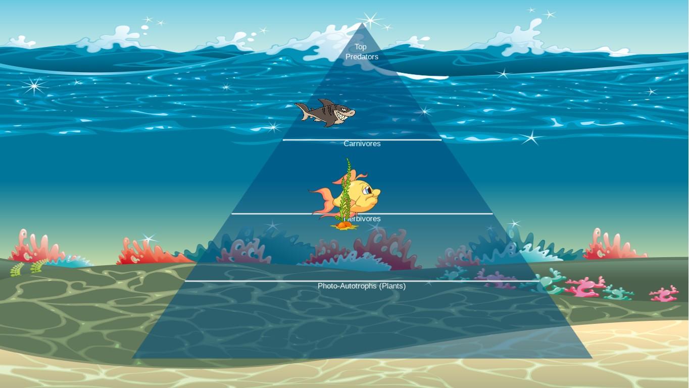Ocean Ecological Pyramid