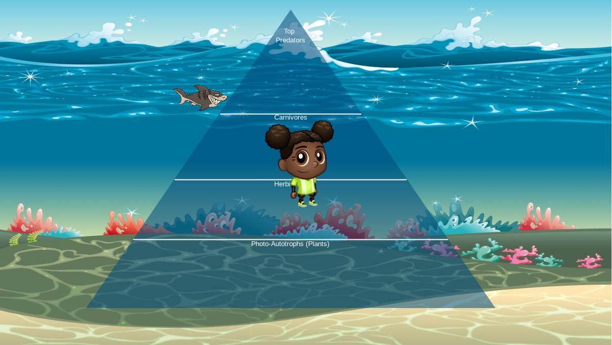 Ocean Ecological Pyramid