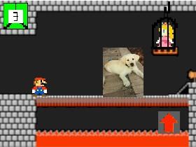 Mario Boss Battle 1