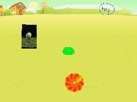 Flower Power 1