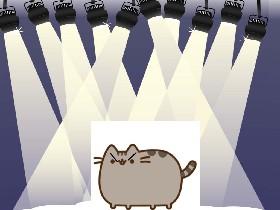 Touch the angry cat if dare!
