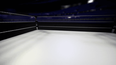 Roblox Wrestling