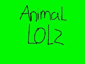 Animal Lolz